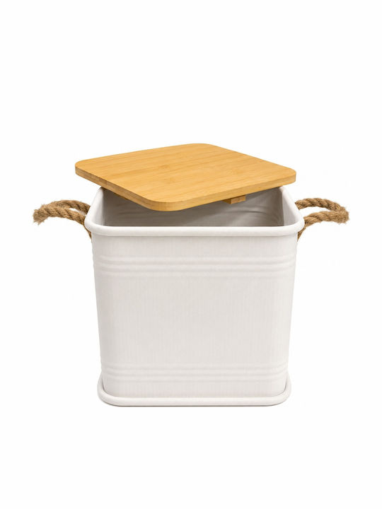 Metallic Storage Box with Lid Beige 31x31x32.5cm