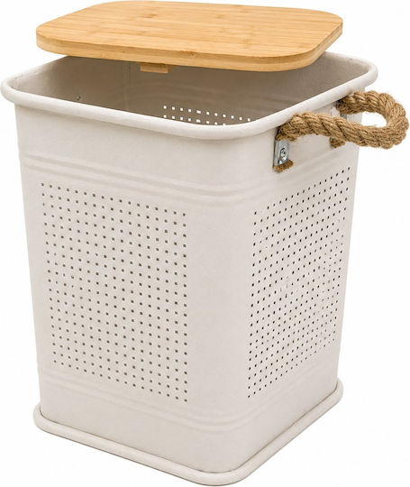 Metallische Aufbewahrungsbox mit Deckel Beige 28x28x41cm