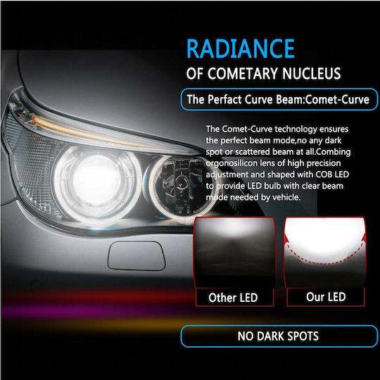 VenCore Lamps Car & Motorcycle H1 LED 6000K Cold White 12-24V / 12V 1pcs