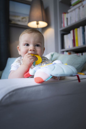 Zubehör für Baby Aktivitätsspielzeug Tier