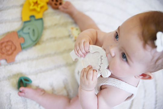 Sensorisches Baby Aktivitätsspielzeug für 10+ Monate