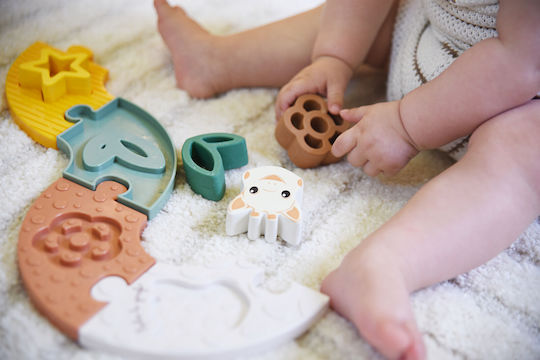 Sensorisches Baby Aktivitätsspielzeug für 10+ Monate