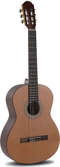 Manuel Rodriguez Caballero Principio C Series Klassische Gitarre 4/4 Basic Bundle