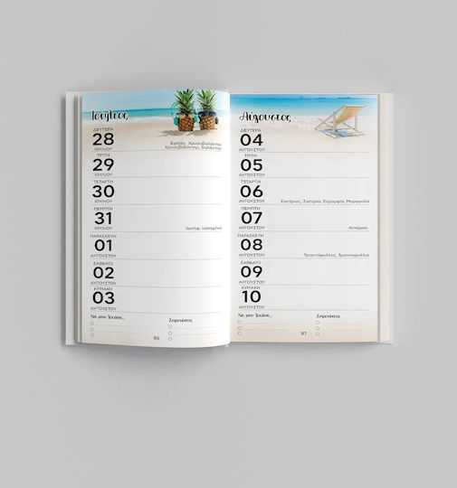 Weekly Pocket Agenda Pharmacy 2027 Pomegranate Design Code M-716-005 100 Pcs