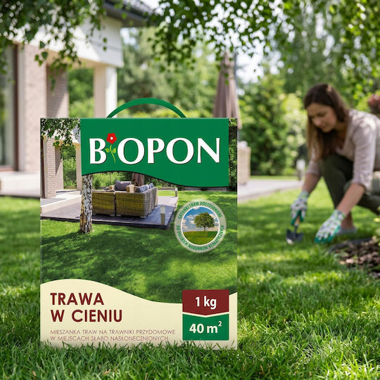 Bros Semințe Gazon Umbre Bros Semințe Gazon Umbre