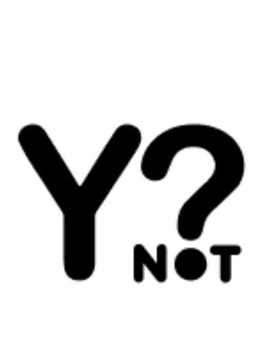 Y Not? Y Not?