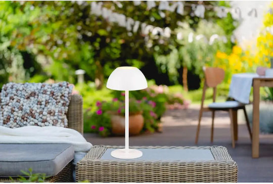 Trio Lighting Διακοσμητικό Φωτιστικό LED Θερμό Λευκό 3000K 13x13x30εκ.