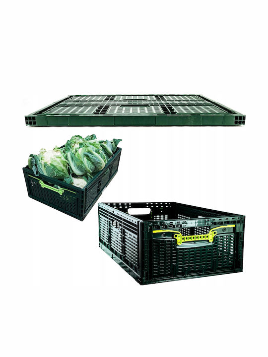 Coș De Depozitare Din Plastic Verde 46lt