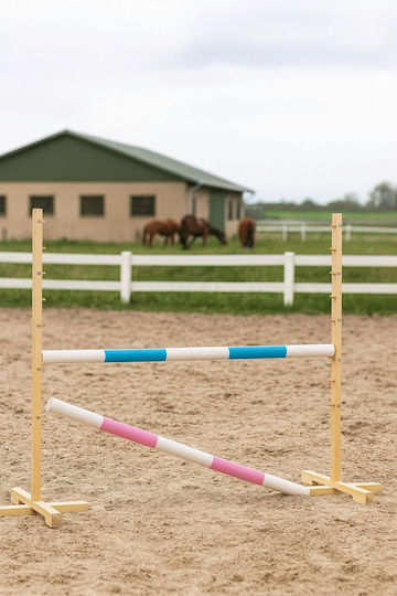 Super Hobby Horse Игра