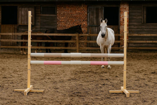 Super Hobby Horse Sportspielzeug