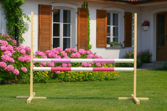 Super Hobby Horse Παιχνίδι
