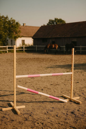 Super Hobby Horse Παιχνίδι