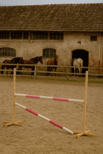 Super Hobby Horse Παιχνίδι