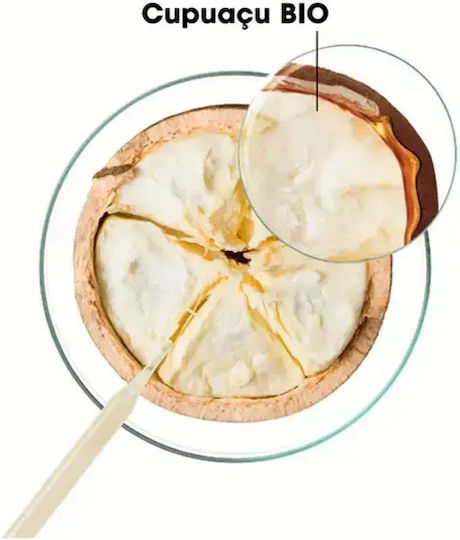 Klorane Μάσκα Μαλλιών για Επανόρθωση 250ml