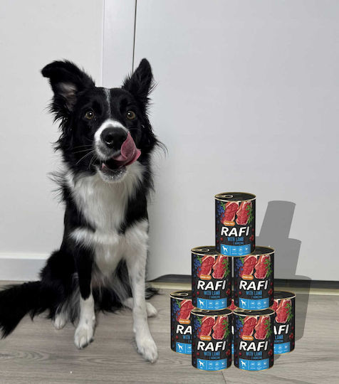 Rafi Hrana Umedă Pentru Câini Dietetică Cu Miel Fără Cereale 12x400gr