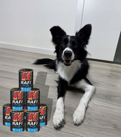 Rafi Nasses Hundefutter Dose Diät mit Lamm und Rindfleisch ohne Getreide 24x400gr