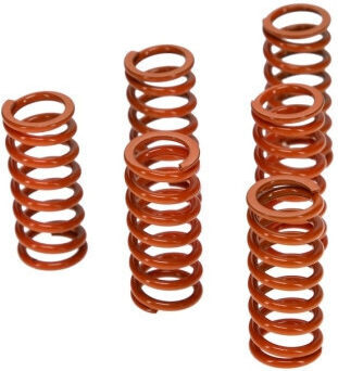 Prox Clutch Spring Set Ktm450 520 525sx-exc '00-07