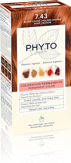 Phyto Phytocolor Haarfärbemittel Ohne Ammoniak 7.43 Hellgold Kakao 50ml