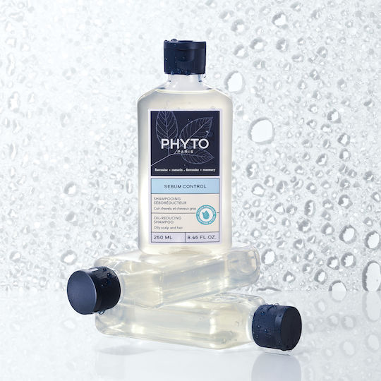 Phyto Scalp Solutions Shampoos against Dandruff 250ml
