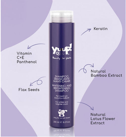 Whitening & Shine Shampoo for Dog and Cat Hair Yuup 250 Ml