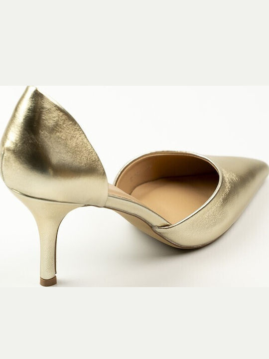 Pointed Toe Heels with Gold Stiletto Heel