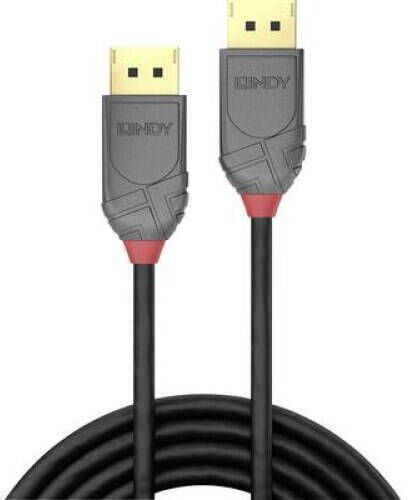 Lindy Cable DisplayPort male - DisplayPort male 1m Black (36481)
