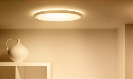 WiZ Smart Ceiling Mount Light 22cm White with Integrated LED and Remote Control