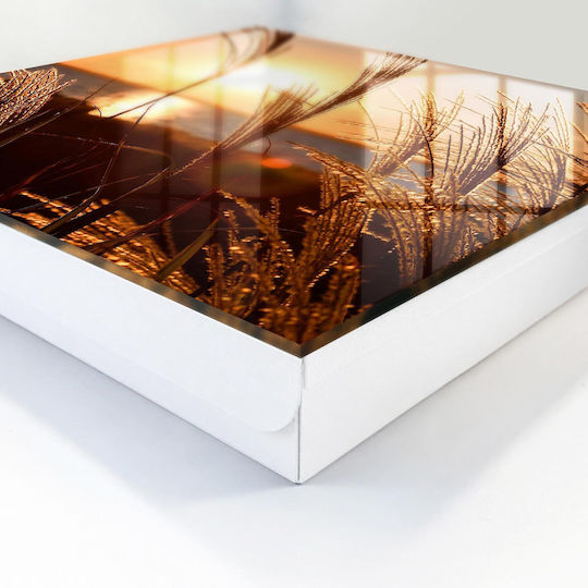 Tulup Металик Стенна Ключалка 50 Места 30x30x5см