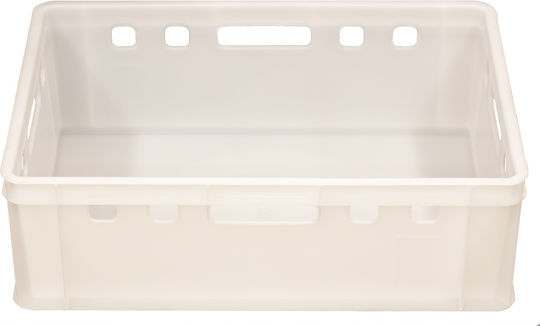 Box E2 Καλάθι Αποθήκευσης Πλαστικό με Καπάκι Λευκό 60x40x20cm