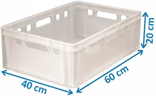 Box E2 Καλάθι Αποθήκευσης Πλαστικό με Καπάκι Λευκό 60x40x20cm