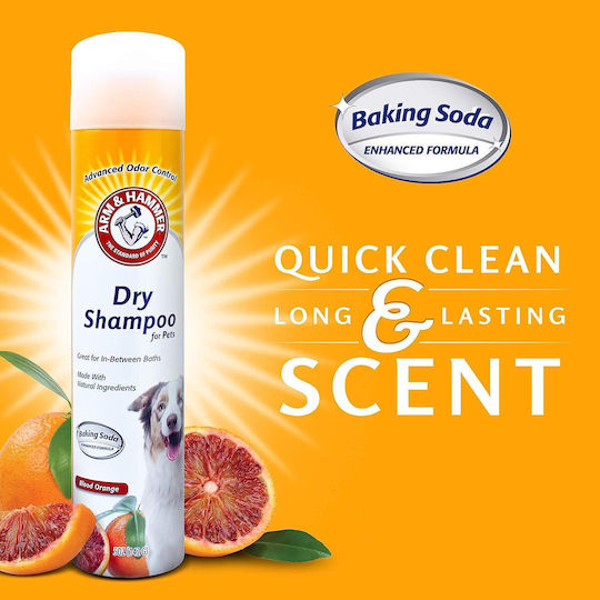Spray Șampon Uscat 2 1 Arm & Hammer Pentru Câini Căței Bicarbonat De Sodiu Aromă De Portocală Roșie 142 G
