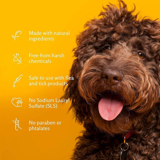 Șampon Pentru Căței Arm & Hammer Puppy Curățare Eficientă Bicarbonat Fără Lacrimi Aromă De Cocos 591 Ml