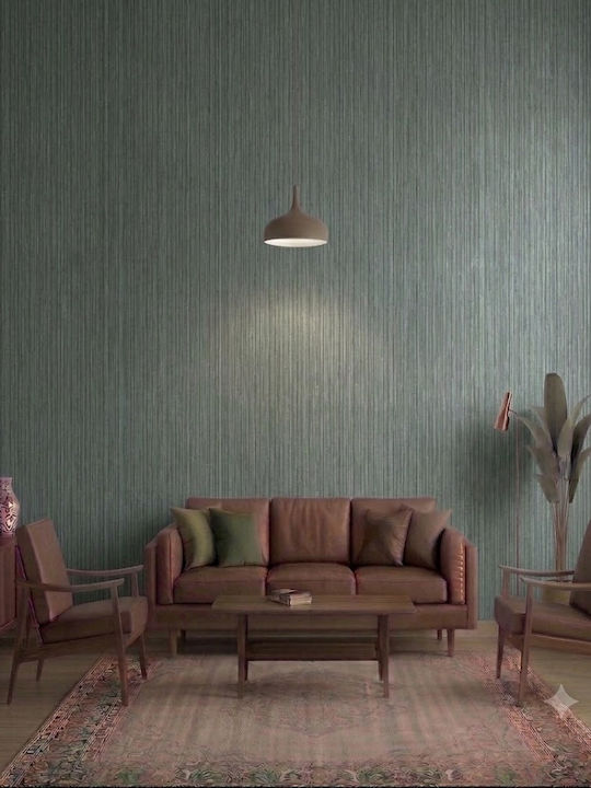 Wall Wallpaper Vinyl 1050x53cm