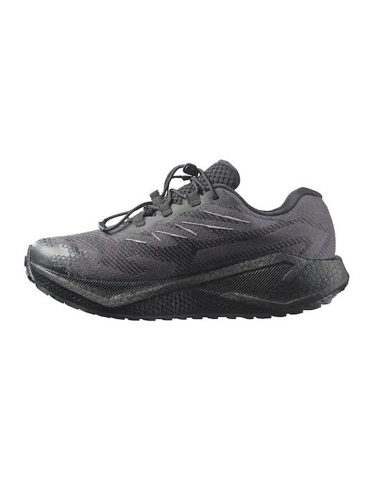 Salomon Aero Blaze Γυναικεία Running Gore-Tex Black / Paloma
