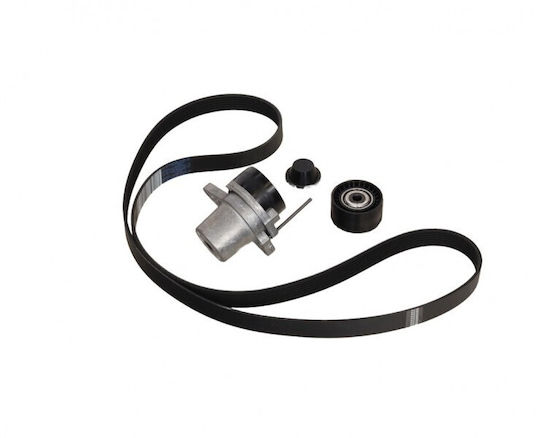 Curea Micro-v Renault Trafic 14 + Tensionatoare 1.6 Dci Set 117202957r