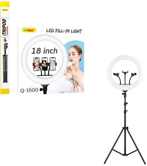 Andowl Ring Light 18cm και Βάση για Κινητό