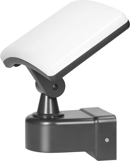 Adviti Στεγανός Προβολέας LED 30W Φυσικό Λευκό 4000K IP65