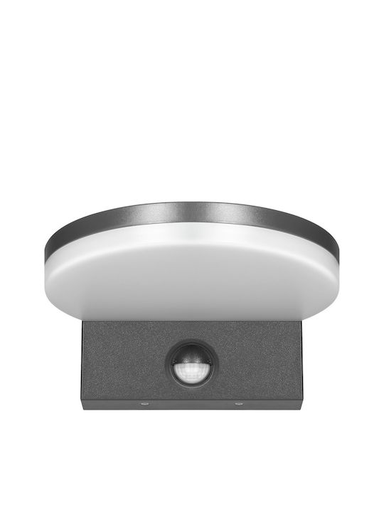 Adviti Wandmontiertes Außenbeleuchtung LED IP65 15W mit Natürliches Weiß Licht