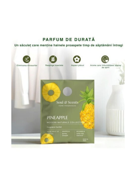 Sachet Parfumat Pentru Garderobă Soul Scents Ananas