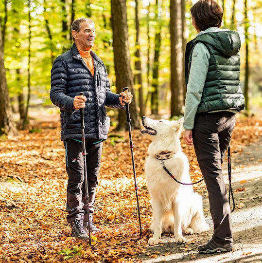 FOREST TALES Телескопични Планински Пръти От Въглеродни Влакна 2 Бр Черни