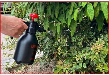 Ks Tools Drucksprüher mit Gewicht 1lt in grüner Farbe