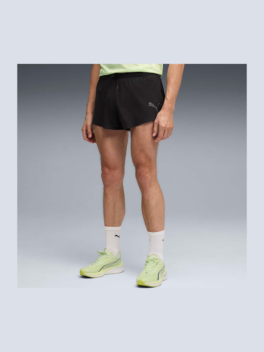 PUMA PUMA