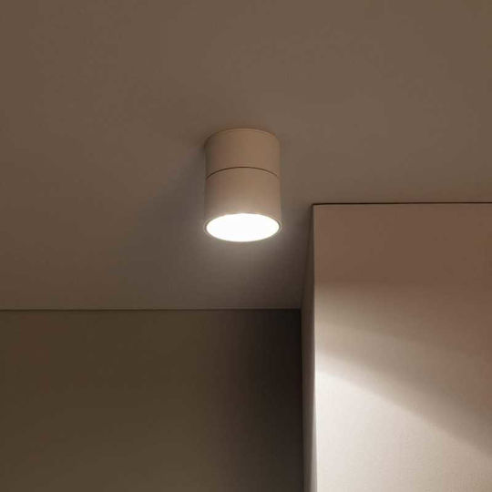 Lightplanet Spot Led Alb Natural Pentru Tavan Și Perete În Culoare Albă