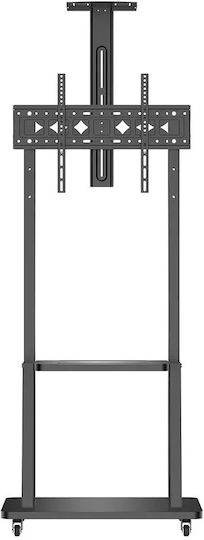 Noozy 41066 Fernsehhalterung Boden bis 50kg