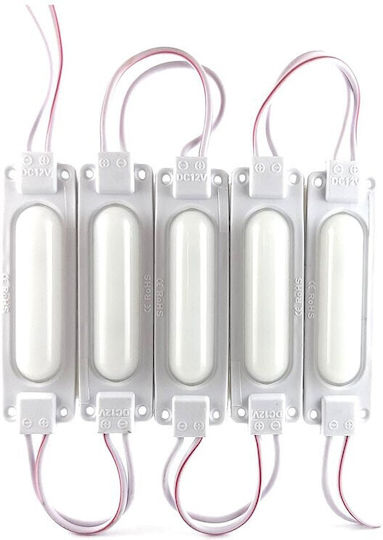 LED Modules 12V Chain 20pcs JN-04790
