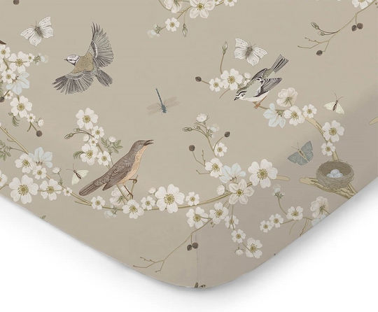 Color Stories Lenjerie De Patut Bebe Cu Cauciuc Bej 60x120cm