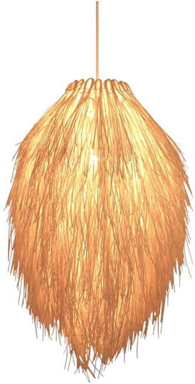 Pendant Ceiling Light 55x35cm