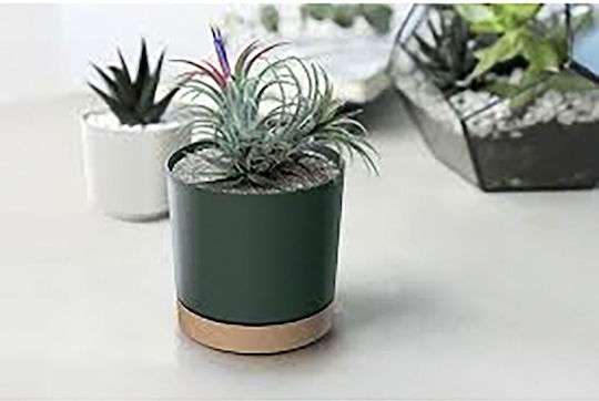 Prosperplast Flowerpot Саксия Зелен Prosperplast Flowerpot Саксия Зелен