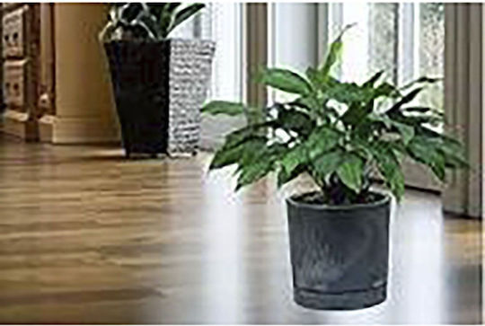 Iliadis Concrete Flower Pot Iliadis Concrete Flower Pot