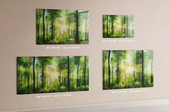 Magnetische Pinnwand Bäume des Waldes Natur Ein Magnet 120x60